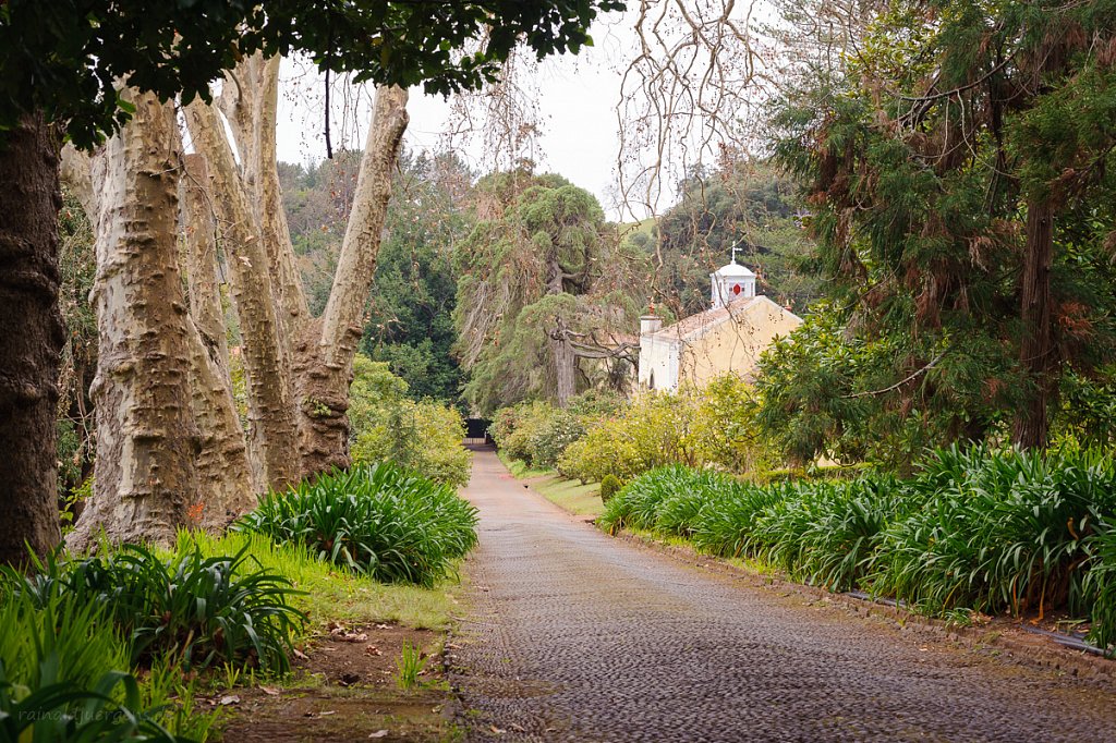 Palheiro Gardens, Madeira